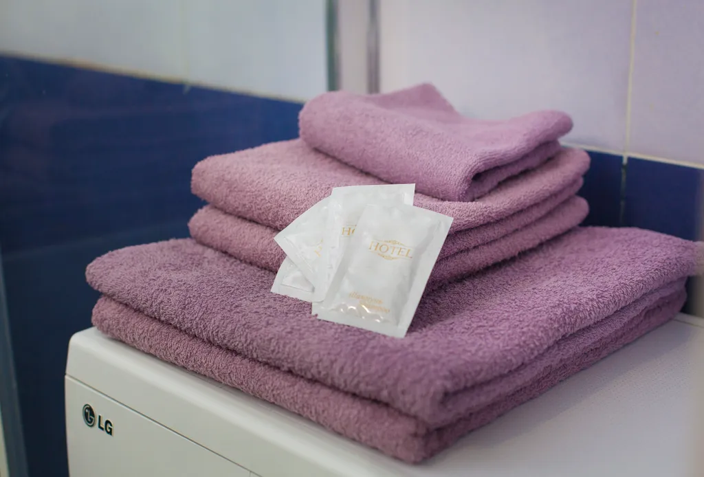 Квартира Квартира Санта — Светлогорск