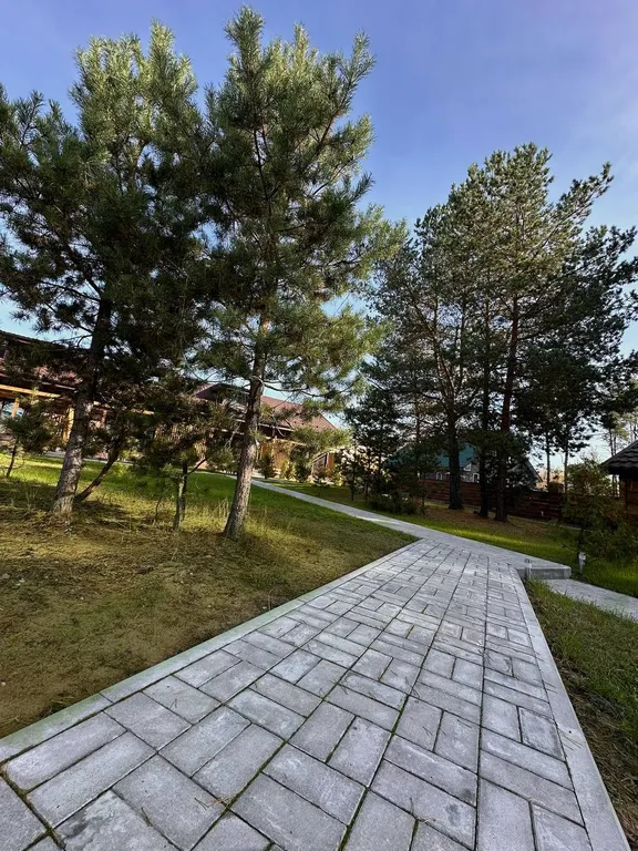 Коттедж Уютные аппартаменты в сосновом лесу — Купанское