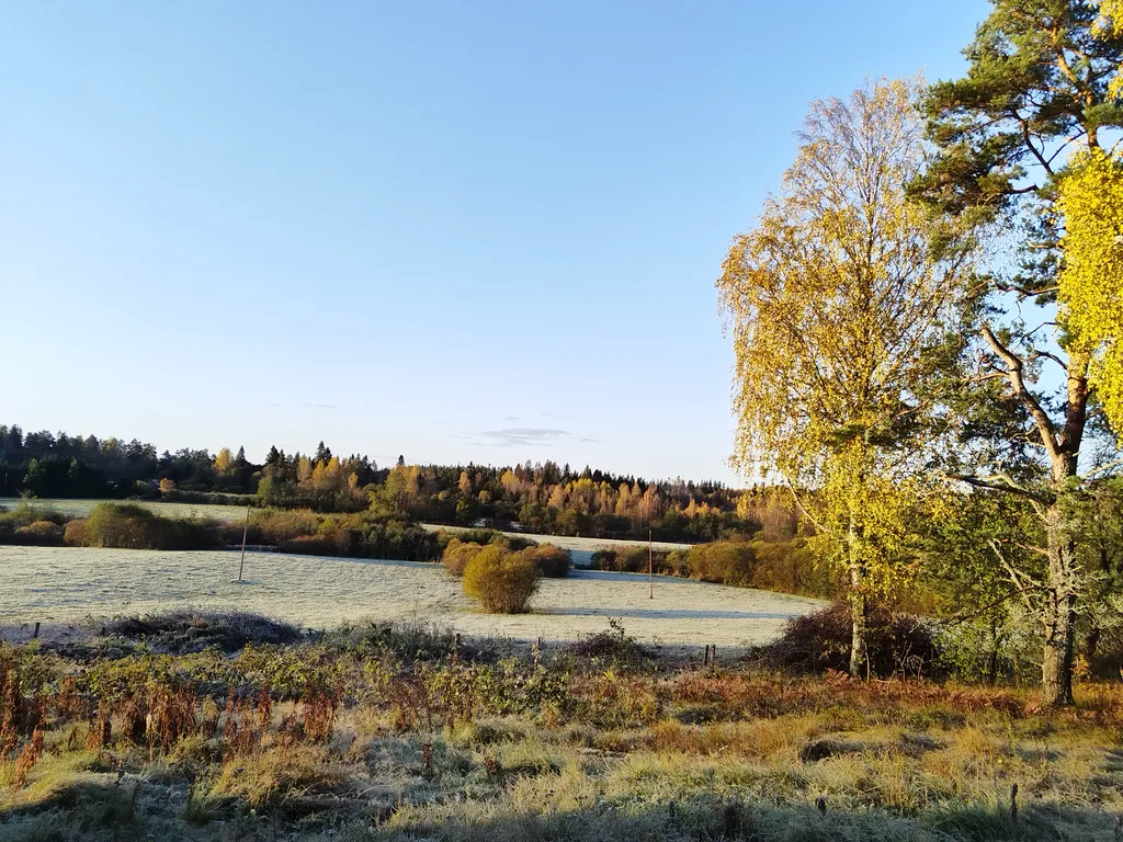 Агроусадьба Ивановых, старый хутор Тауно Туоми