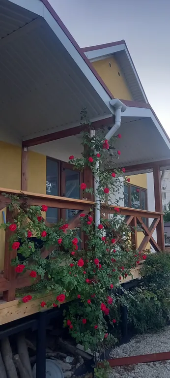 Коттедж Saga-feo — аренда посуточно в Феодосия