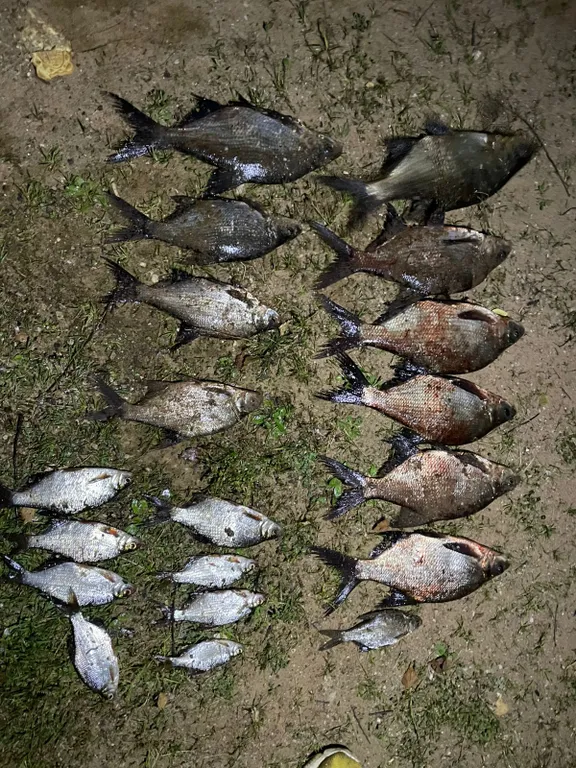 Коттедж Номер на Селигере у озера в сосновом бору — Турбаза Чайка