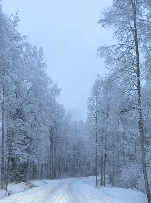 Коттедж Современный загородный дом со всеми удобствами рядом с озером — Борисово