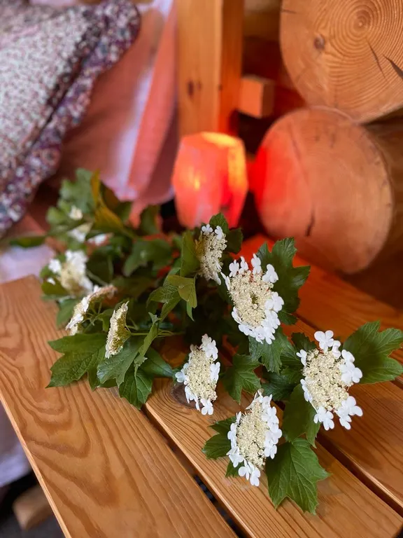 Эко-Отель Севастополь/Орловка