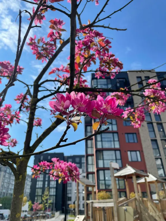 Квартира Новая квартира возле Королевских ворот — Калининград