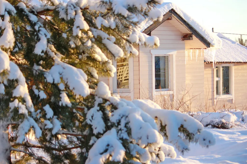 Дом и гостевой домик с баней