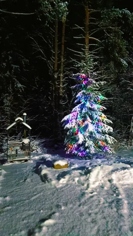 Новый гостевой дом и баня у Горного парка