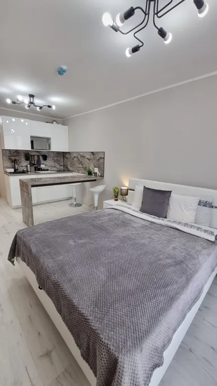 Студия у метро Парнас