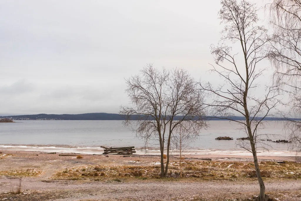 Современная трешка с видом на озеро и каминным залом