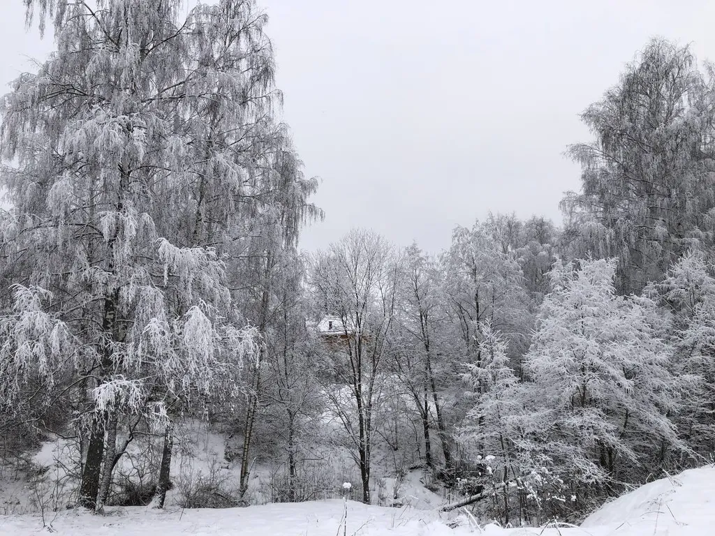 Уютный барнхаус в скандинавском стиле у горнолыжного курорта Сорочаны