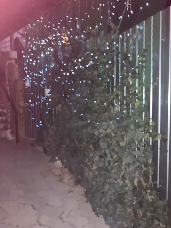 Коттедж Дом с сибирским банным чаном на дровах — Кисловодск