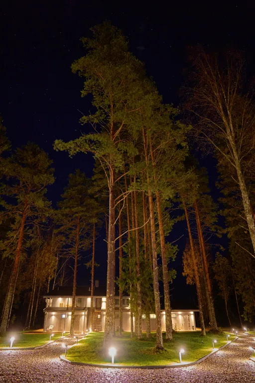 Дом в Карелии с видом на сосновый лес