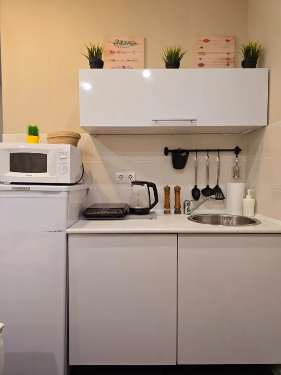 Уютные апартаменты