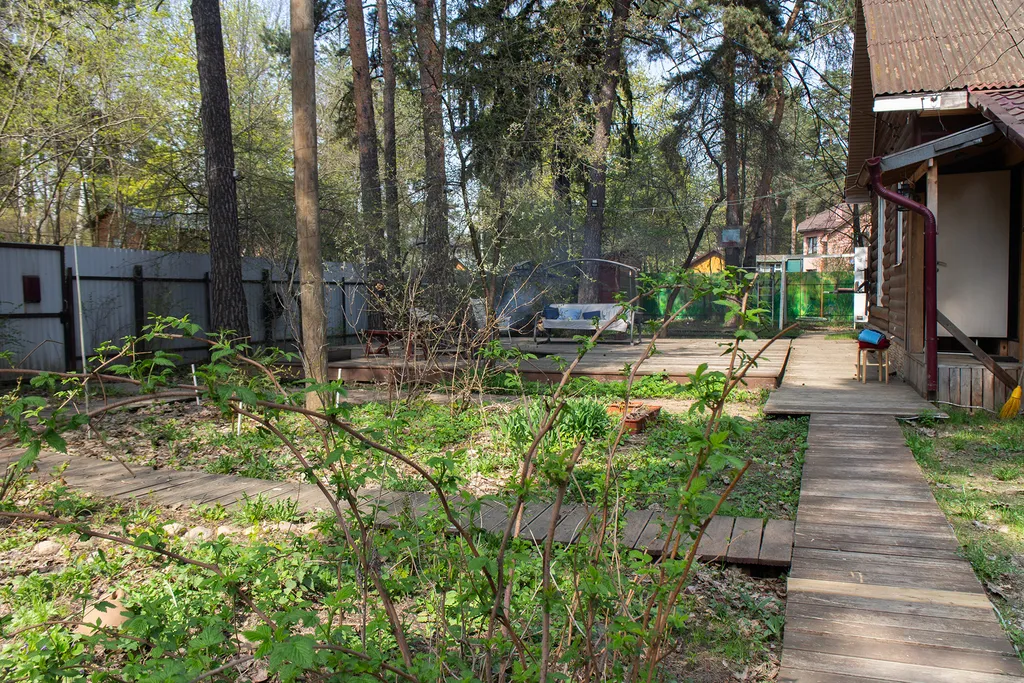 Дом в соснах