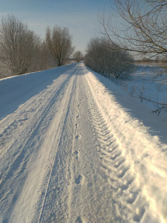 Дом с сауной и мангалом