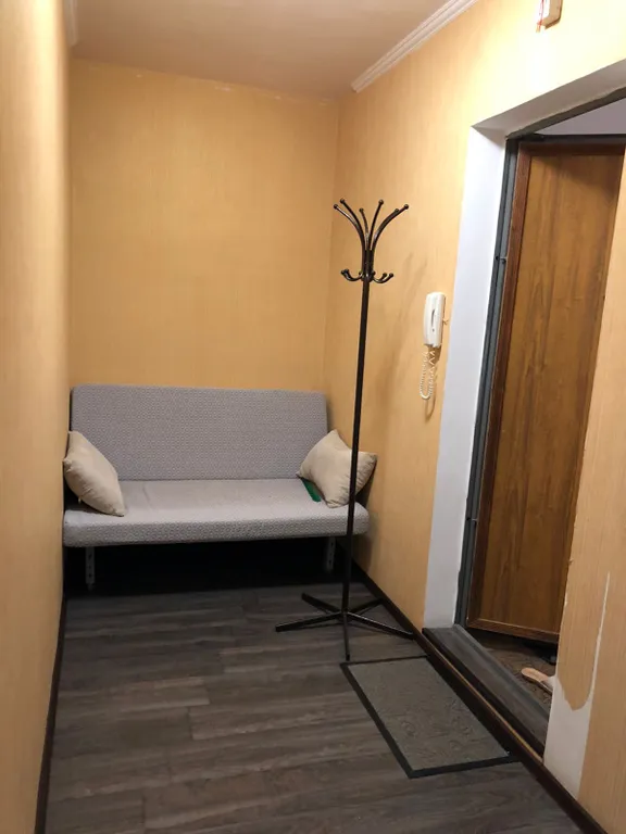 Просторная квартира на Шуменской