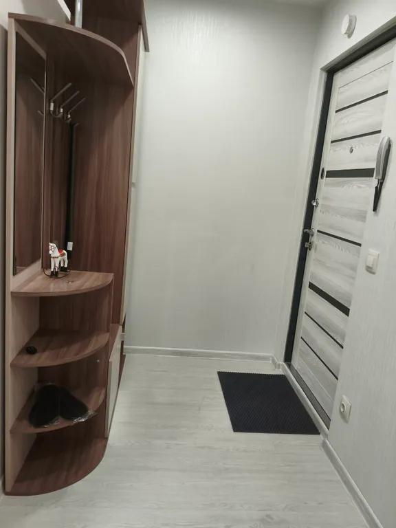 Современная 1-комнатная квартира