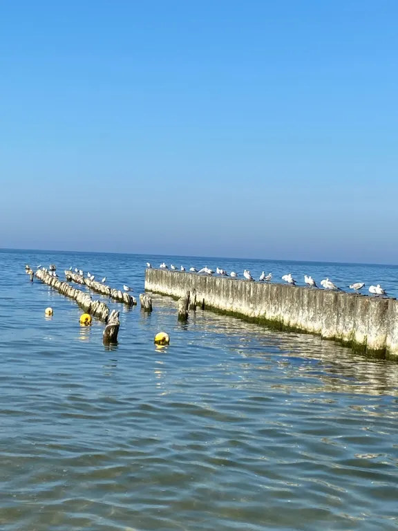 Квартира Уютные апартаменты в СПА-комплексе — Светлогорск