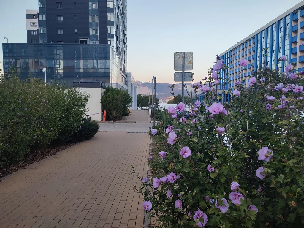 Парус Центральный пляж