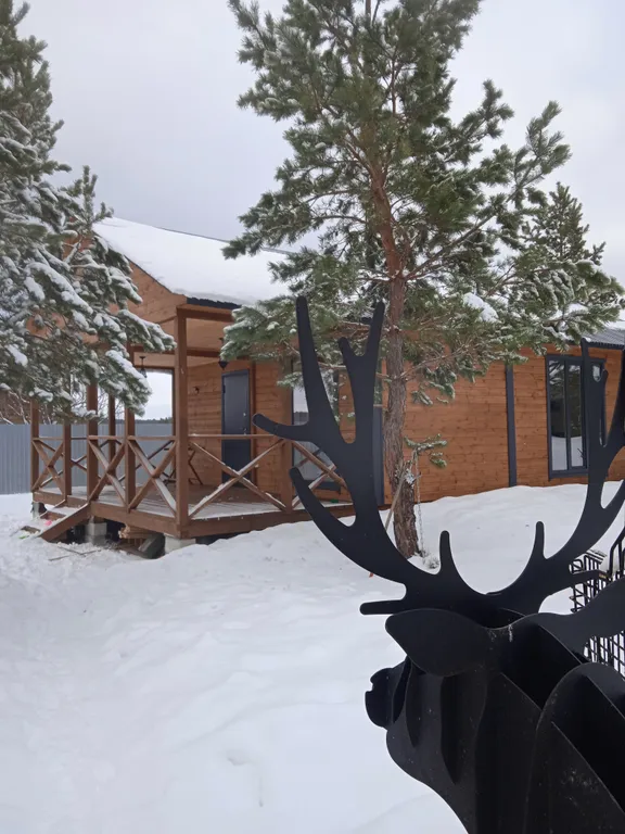 Большой дом с душой у соснового леса