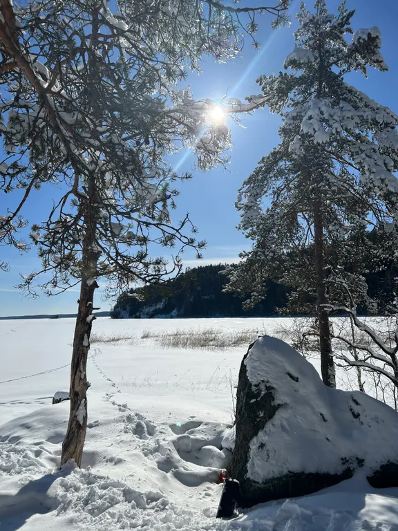 Стильный дом на берегу Ладожского озера с панорамным видом