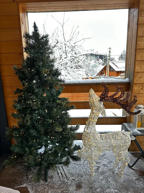 Домик близ Сорочан