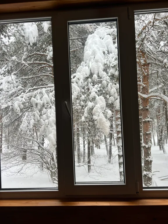 Комфортный коттедж в лесу