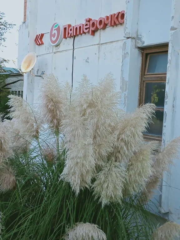 Квартира с шикарным видом