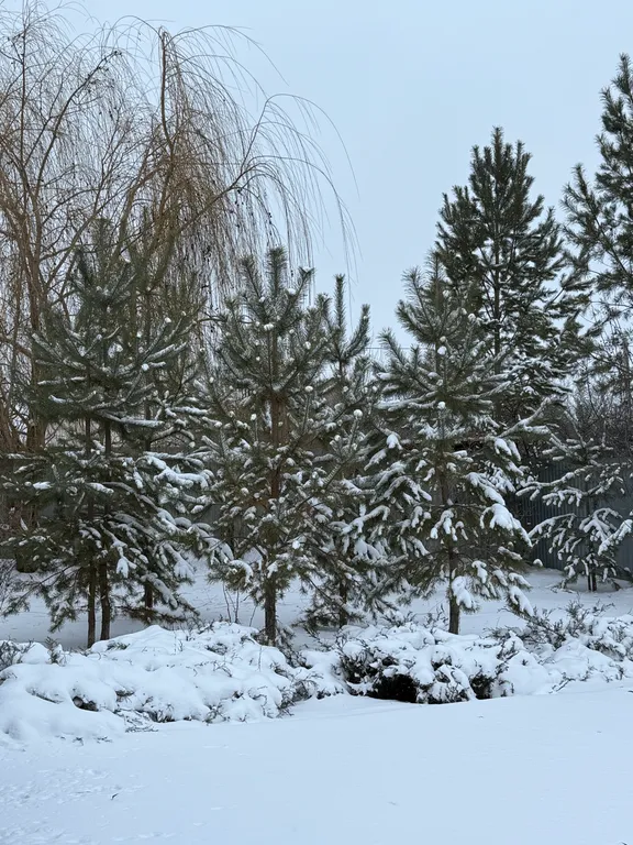 Четырёхкомнатный дом