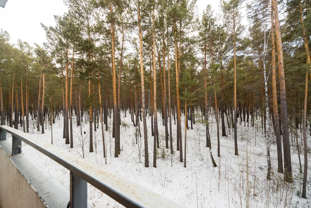 1-комнатная квартира Воздушная гавань