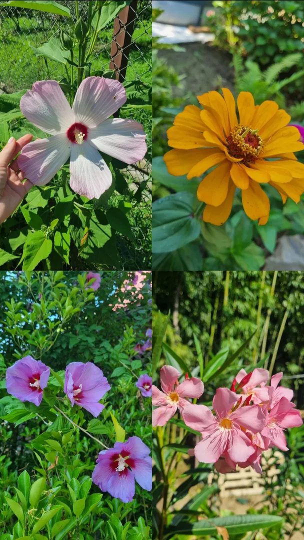 Фото