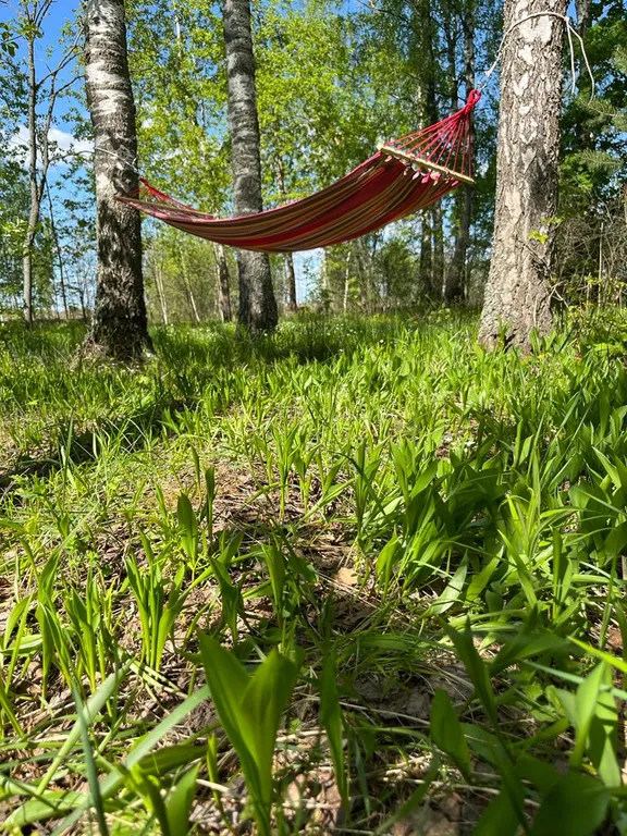 Дом в стиле А-фрейм в Подмосковье