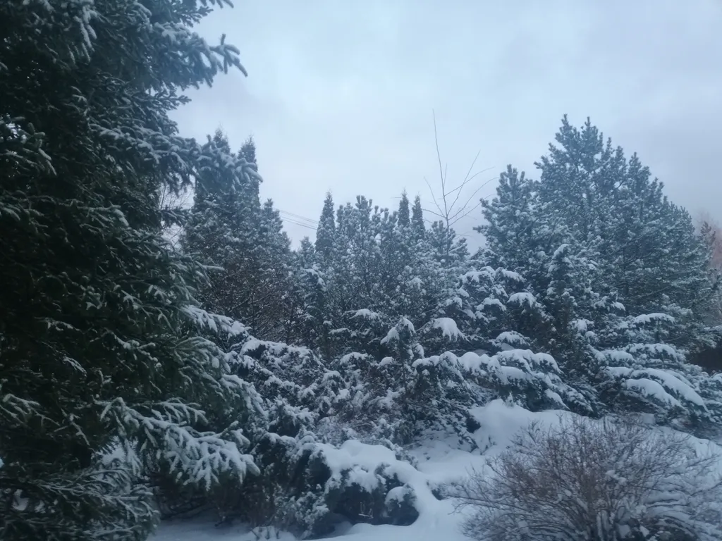 Дзен-апартаменты