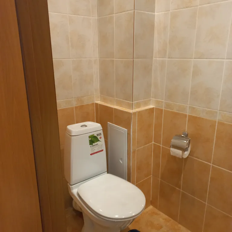 Однакомнатная квартира у трц Остров