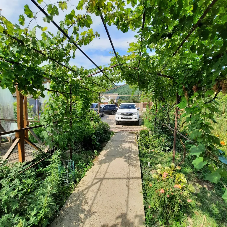 Белый Какаду