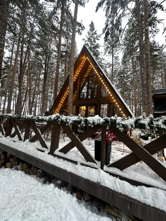 Сказочный дом в лесу с видом на горы