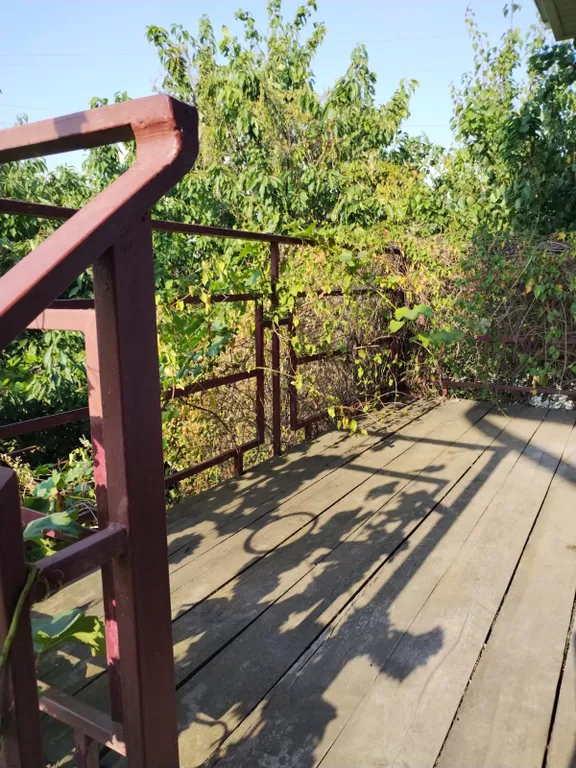 Просторный номер "Ласточкино гнездо"