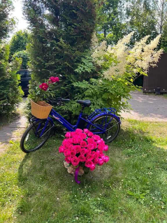 Коттедж Дом в заповедной зоне рядом с озерами — Мышецкое