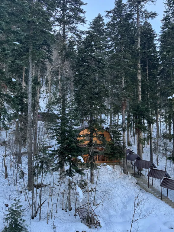 Квартира в центре