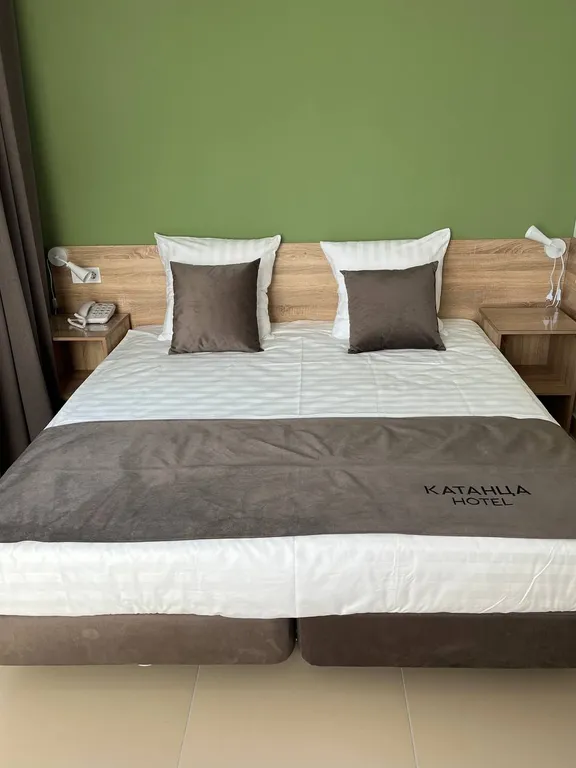 Двухместный номер + 2 доп.места