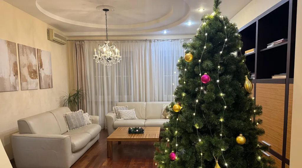 Просторная квартира на новый год с ёлкой в самом центре + 2 парковки — аренда посуточно в Нижний Новгород