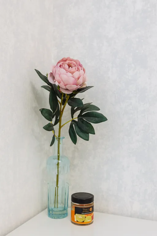 Рядом с Верхним озером и Музеем янтаря