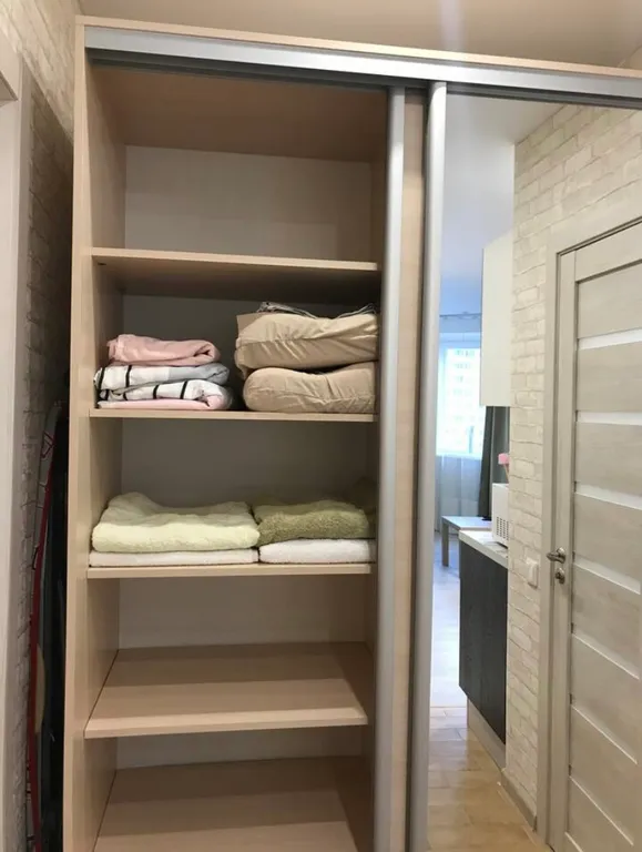 Уютная большая студия около Сколково