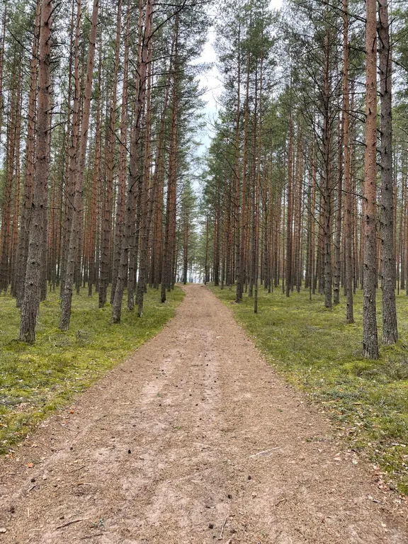 Дом у Финского залива