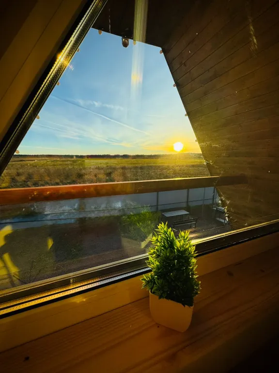 Коттедж Дом шалаш с баней — Санкт-Петербург