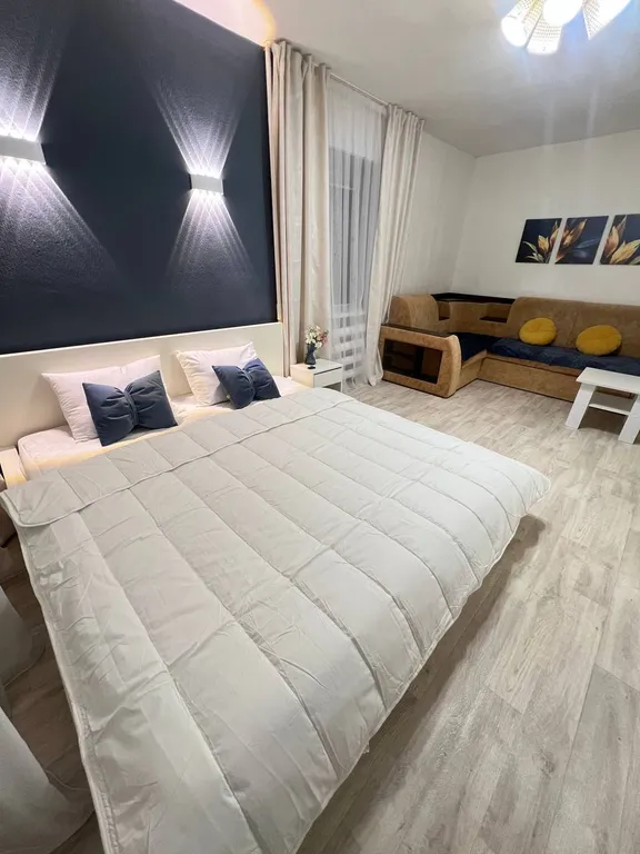 1-комнатная квартира. Центр