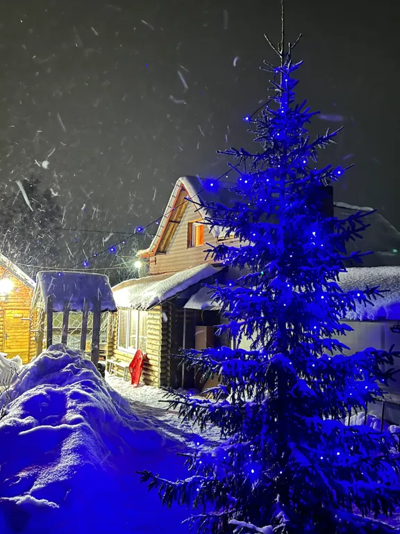 Двухэтажный дом+деревенская баня на дровах