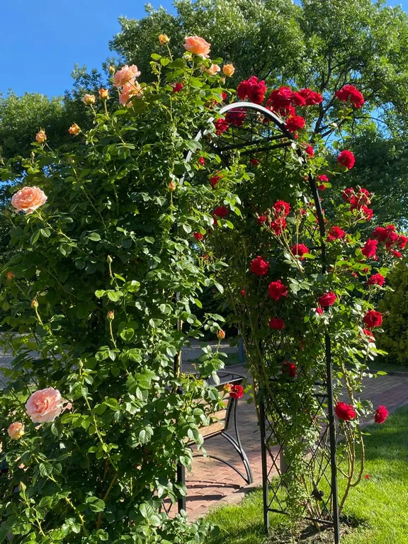 Квартира с великолепным видом в ЖК Грин Парк