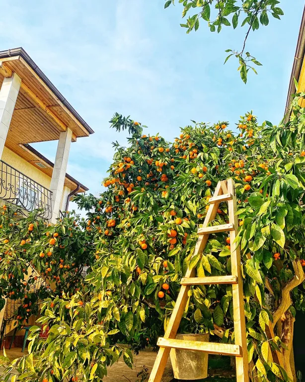 Двухместный стандарт с двуспальной кроватью без балкона на 1 этаже