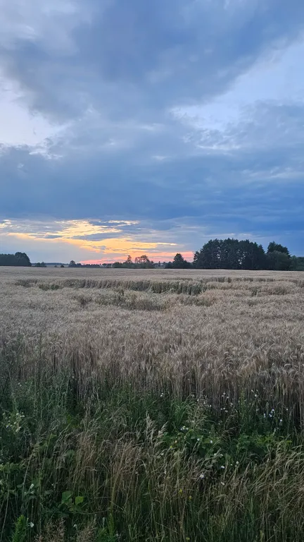 Агроусадьба Лесная Паулинка