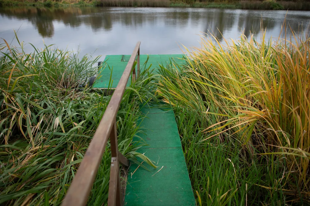 Дом с видом на сад